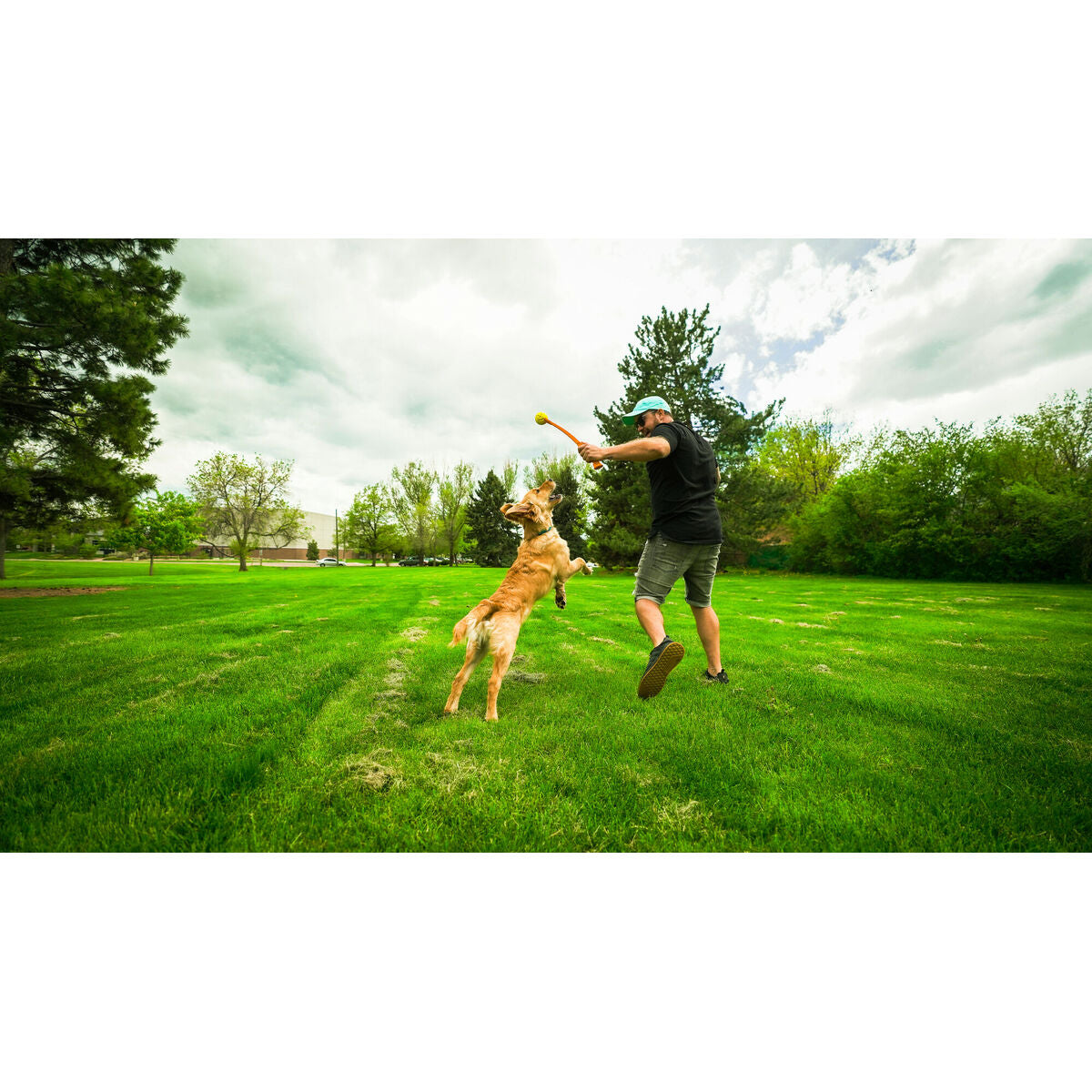 Ball Launcher for Dogs Hunter-3