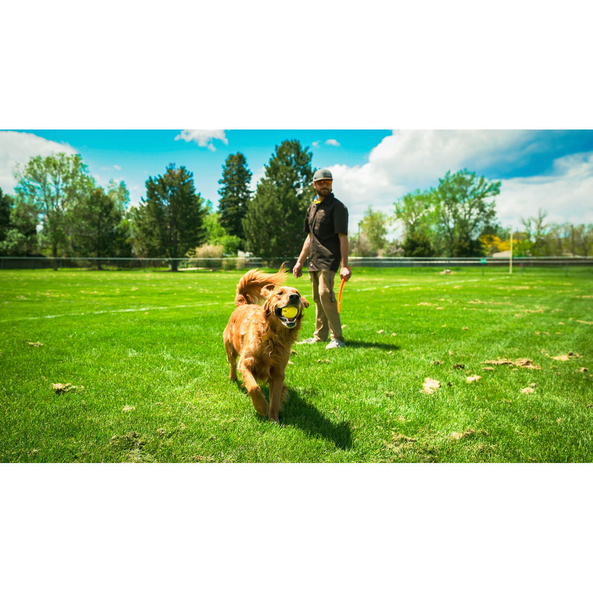 Ball Launcher for Dogs Hunter-2