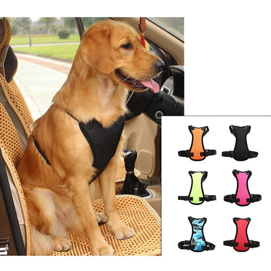Autogordel voor je Hond of Kat – Veilig Reizen in Stijl
