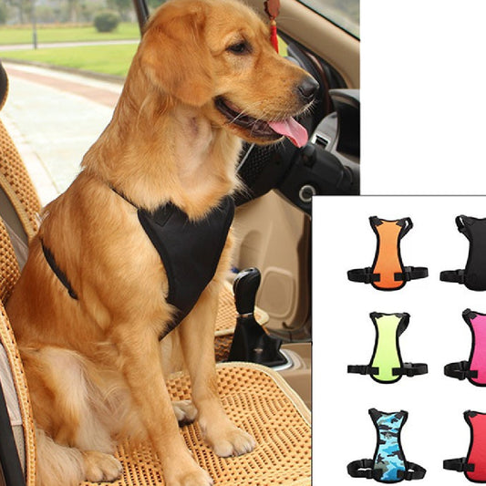 Autogordel voor je Hond of Kat – Veilig Reizen in Stijl