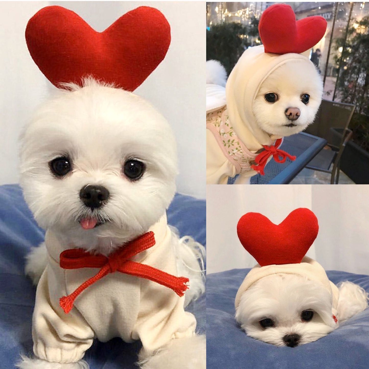 Schattige Fruit Hoodies voor Kleine Honden – Warme Winterjas van Fleece voor Chihuahua, Franse Bulldog