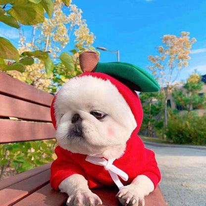 Schattige Fruit Hoodies voor Kleine Honden – Warme Winterjas van Fleece voor Chihuahua, Franse Bulldog