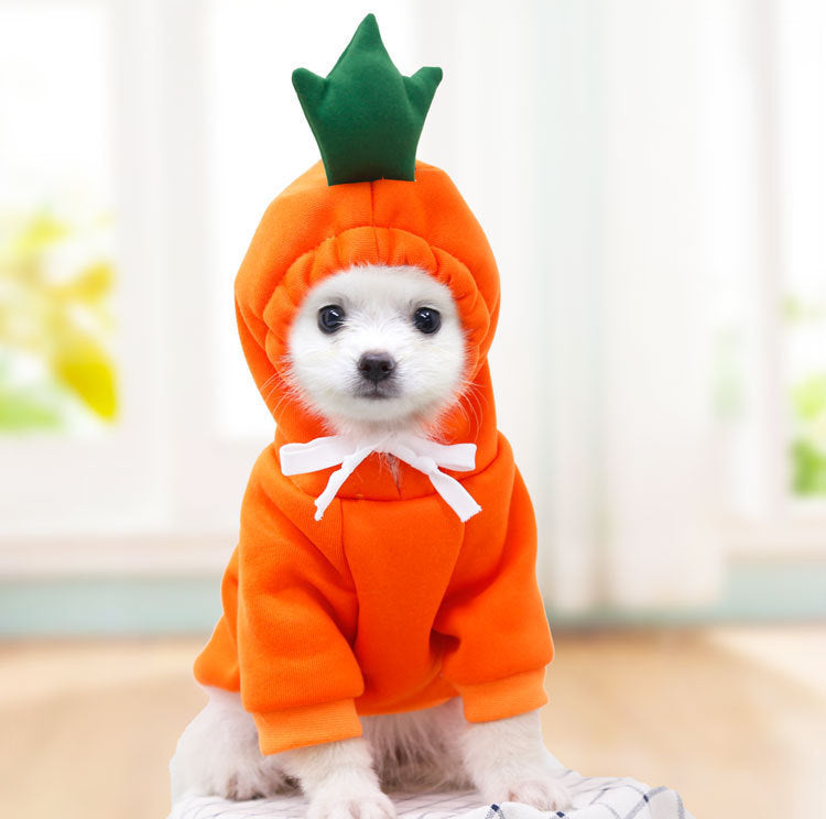Schattige Fruit Hoodies voor Kleine Honden – Warme Winterjas van Fleece voor Chihuahua, Franse Bulldog