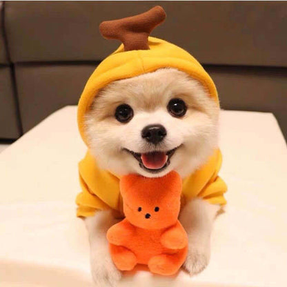 Schattige Fruit Hoodies voor Kleine Honden – Warme Winterjas van Fleece voor Chihuahua, Franse Bulldog