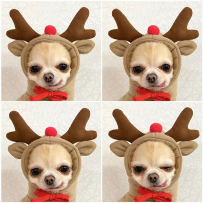 Schattige Fruit Hoodies voor Kleine Honden – Warme Winterjas van Fleece voor Chihuahua, Franse Bulldog