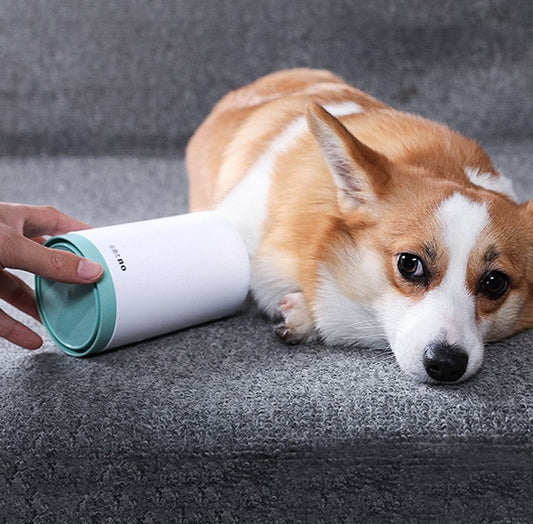 Draagbare Pootreiniger voor Huisdieren – Zachte Siliconen Borstels & Comfortabele Reiniging