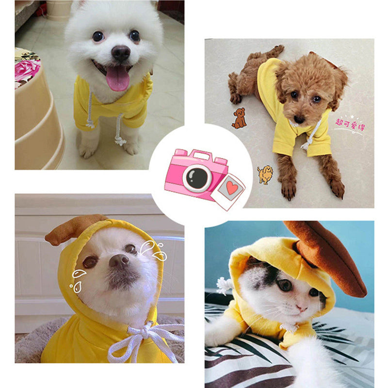 Schattige Fruit Hoodies voor Kleine Honden – Warme Winterjas van Fleece voor Chihuahua, Franse Bulldog